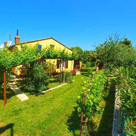House 1037 Villa Fažana Buitenkant foto