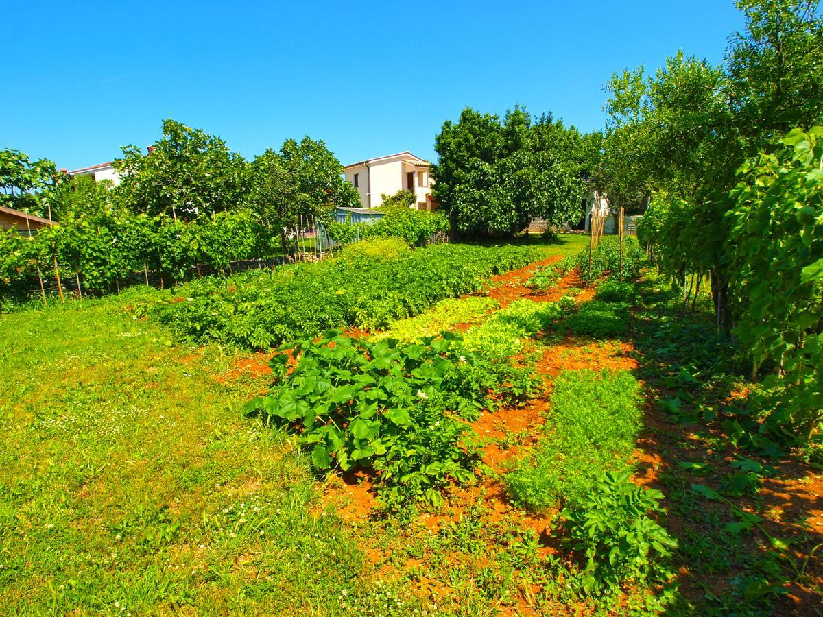 House 1037 Villa Fažana Buitenkant foto